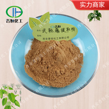 武靴藤提取物/匙羹藤提取物  武靴叶提取物 武靴藤粉 植物原料粉