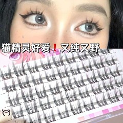 睫天使~懶人純欲貓精靈假睫毛自然濃密日常平價美睫新手女5排分段