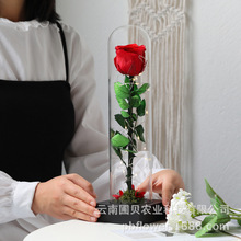 ���߿羳������Ϧ���˹��YƷ�[����������֧õ�岣���ֶY�����l