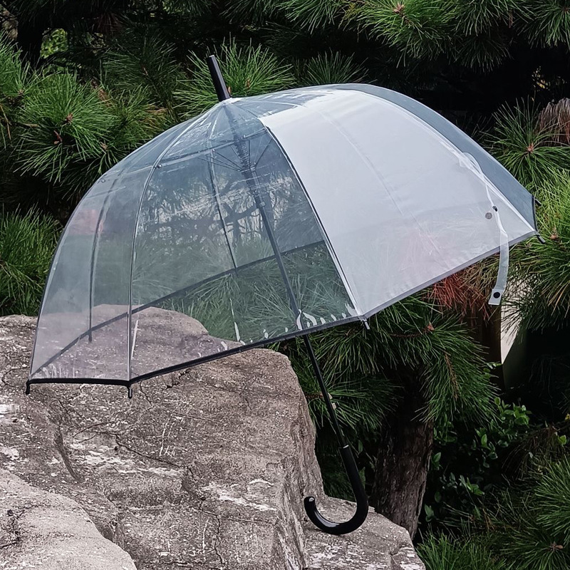 8-bone Apollo Transparent Umbrella Thickened Long Handle Bubble Umbrella Small Fresh Umbrella Arch Environmental Transparent Umbrella