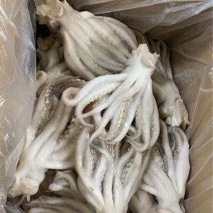 �r�����~�^4kg�b�����~횲�����r��偟����F������rʳ�����l