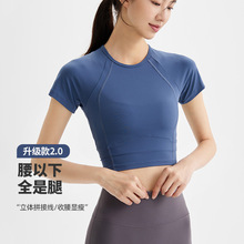 2025春夏新瑜伽服女紧身修身短袖健身跑步透气短款运动健身服上衣
