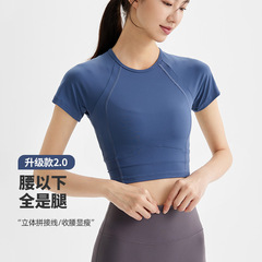 2025春夏新ヨガ服女性ガードル半袖フィットネスランニング通気性の短いスポーツトレーニング服上着