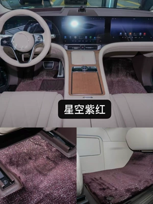 Gle350Gls450 Starry Sky Floor – Ayaqaltılar (Kovriklər) - five-seat-mats-purple-red
