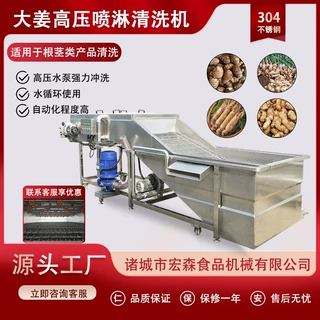 全自动生姜去泥洗姜机天麻桔梗去泥清洗机多功能根茎类药材清洗机