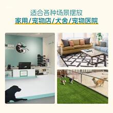 С���ӌ������B�\���x�\���ӹ��\��ֳչʾ�\�҃ȼ���؈�\���B��