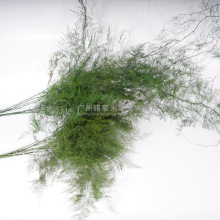 ������������ ��Y��cܛ�b��ˇ�҃ȼҾߠ����b��s�͹��L