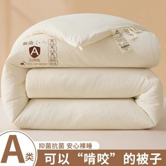 a类被子被芯四季通用华夫格春秋被轻盈透气棉被褥大学生宿舍冬被