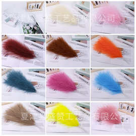 跨境户外人造蒲苇彩色羽毛花装饰婚庆拍摄道具潘帕斯草仿真芦苇草