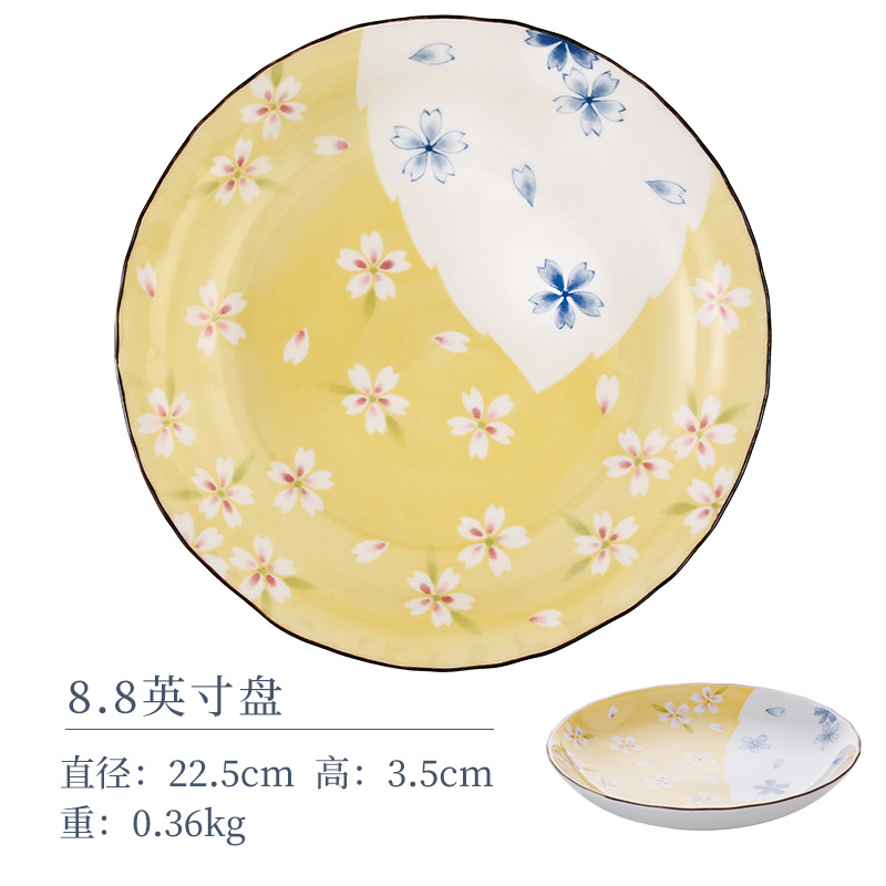 8,8 дюйма диска