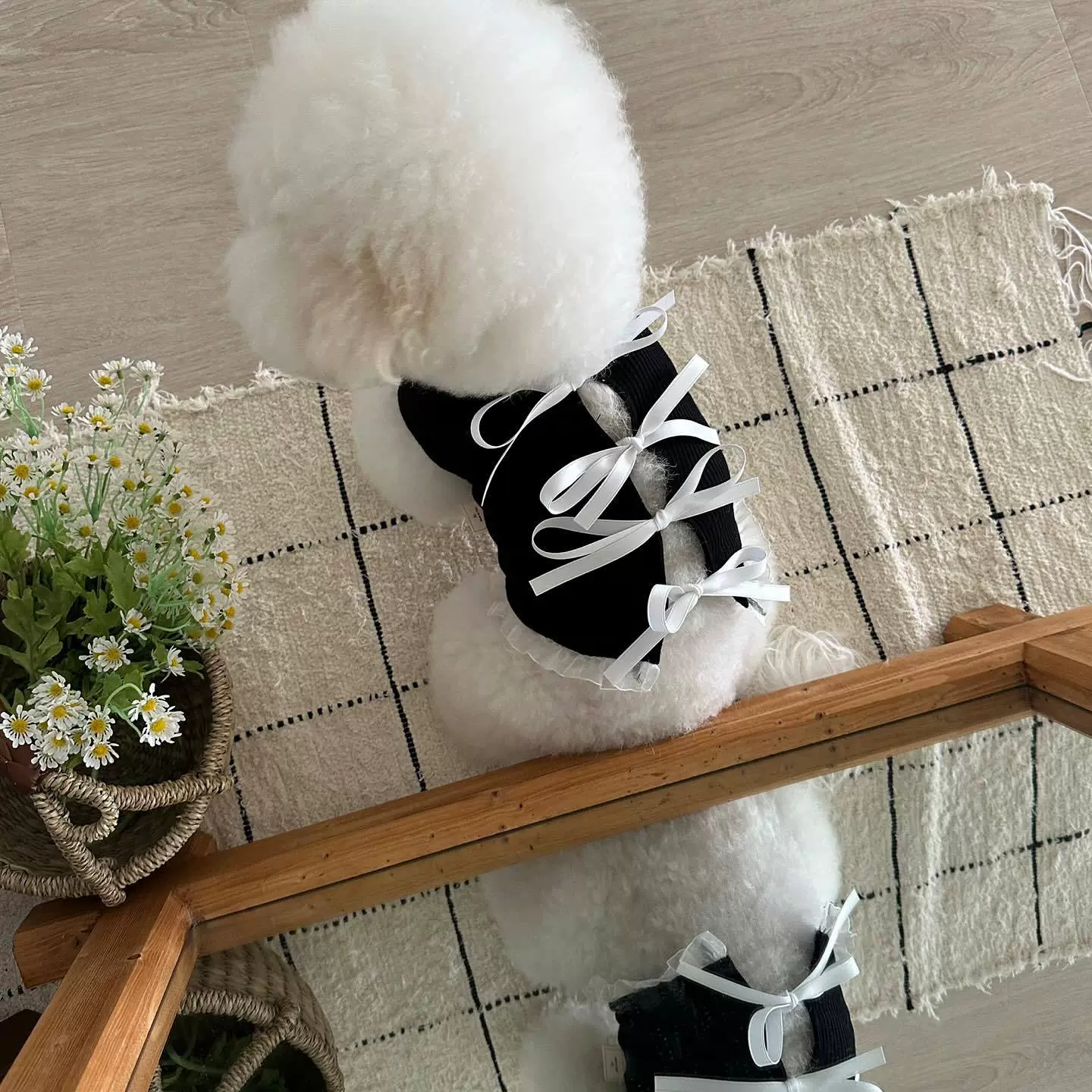 Одежда для домашних животных, одежда ручной работы, высококачественная маленькая ароматная пряжка с бантом, Тедди Бишон Шнауцер, кошка, маленькие размеры, собаки, лето