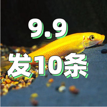 ������~��̦���~�����~�~���坍�����坍�����ͳ���̦������]