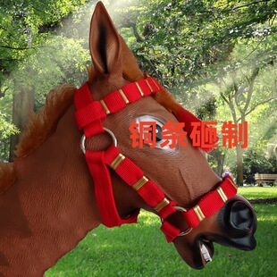 ��ʽ�R�g��Ʒ˨ë�H����R�\�^���^�����ֹ������R��