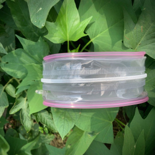 Spot Transparent Pvc Doll Bag Zipper Bag Silicone Invisible Doll Intimates Packaging Box Cosmetic Bag Storage Box Bag