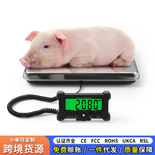 �羳�����]���� С�͌����w�س�200KG���P�������ӳӷ��w���f��