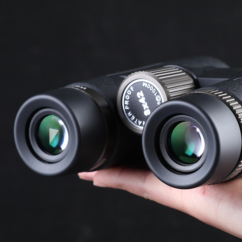 双筒望远镜10*42高倍高清演唱会户外防水观景旅行望眼镜LG 12中性