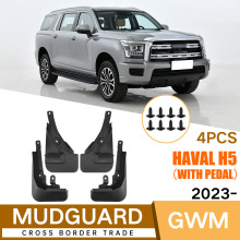 �m����L�ǹ���Haval H5 With pedal 2024�����Ƥ����܇����羳