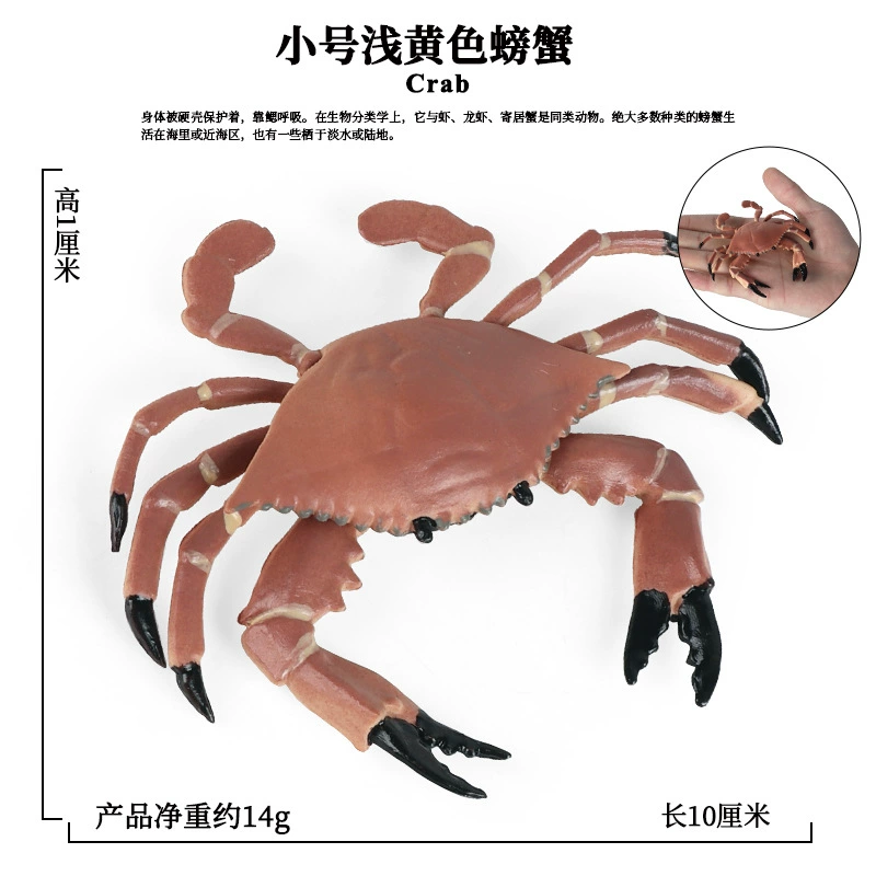 Модель crab/crab king crab трехточечная, имитация реальной жизни морского животного, открытая спина, искусственный рот, детские познавательные игрушки-украшения