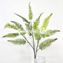 客房植物蕨类酒店绿植