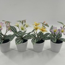 ���滨�Ҿ�С�[���Gֲ�t���������ԽM�Ϸ���ٻ��辰