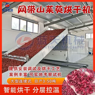 山茱萸烘干机 隧道式山萸肉山茱萸枣片干燥机 山朱庚蜀枣烘干设备