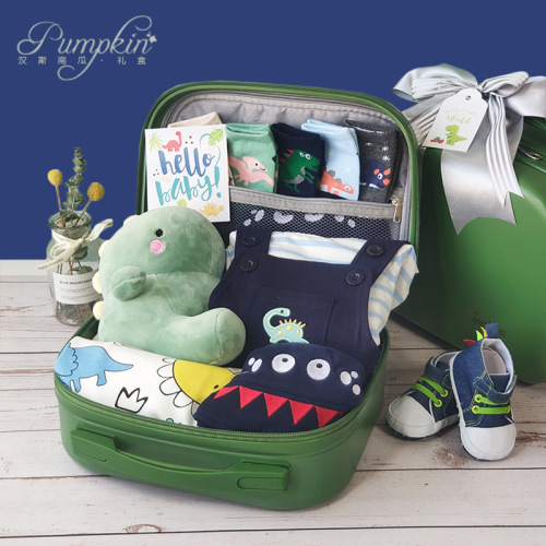 Baby Dinosaur Era Handbag Gift Box Spring Summer Autumn Newborn Gift Shoes Clothing Plush Set