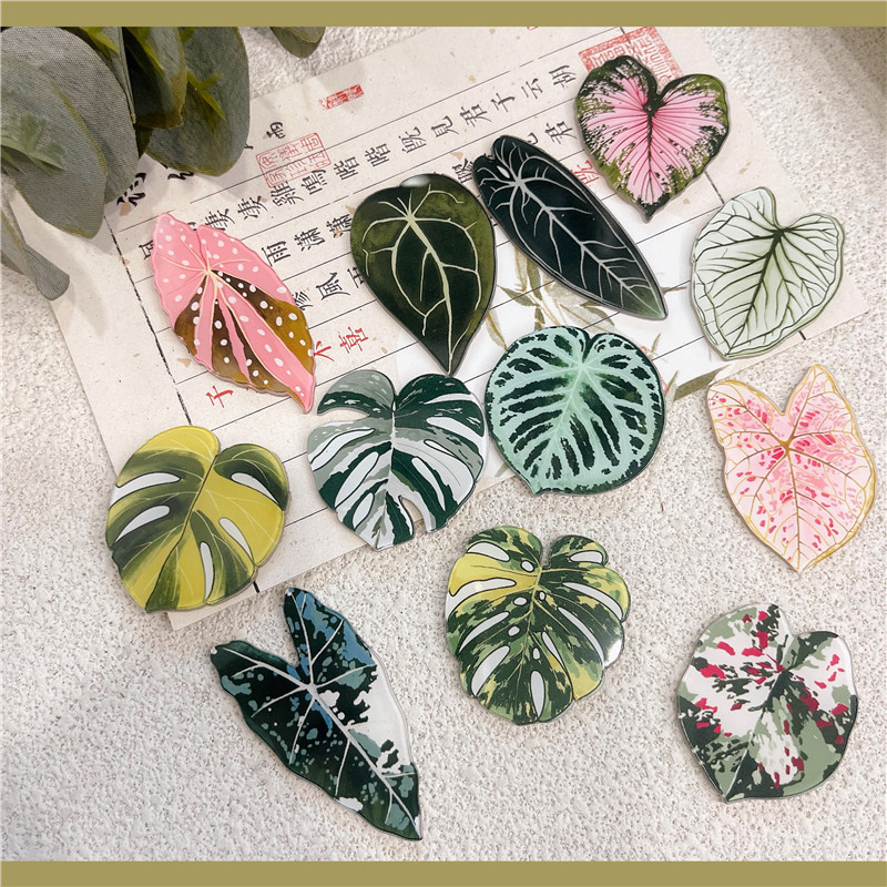 Tortuga de bambú botánica de otoño, mar de caña, emblemas decorativas broches, bolsas de ropa, bolsas de lápiz, regalos para niños y amigos