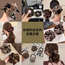 �nϵ�͹ű��y���c�lȦŮ2025�¿�ߏ������^�l�K���|�Rβ�^�K�l�