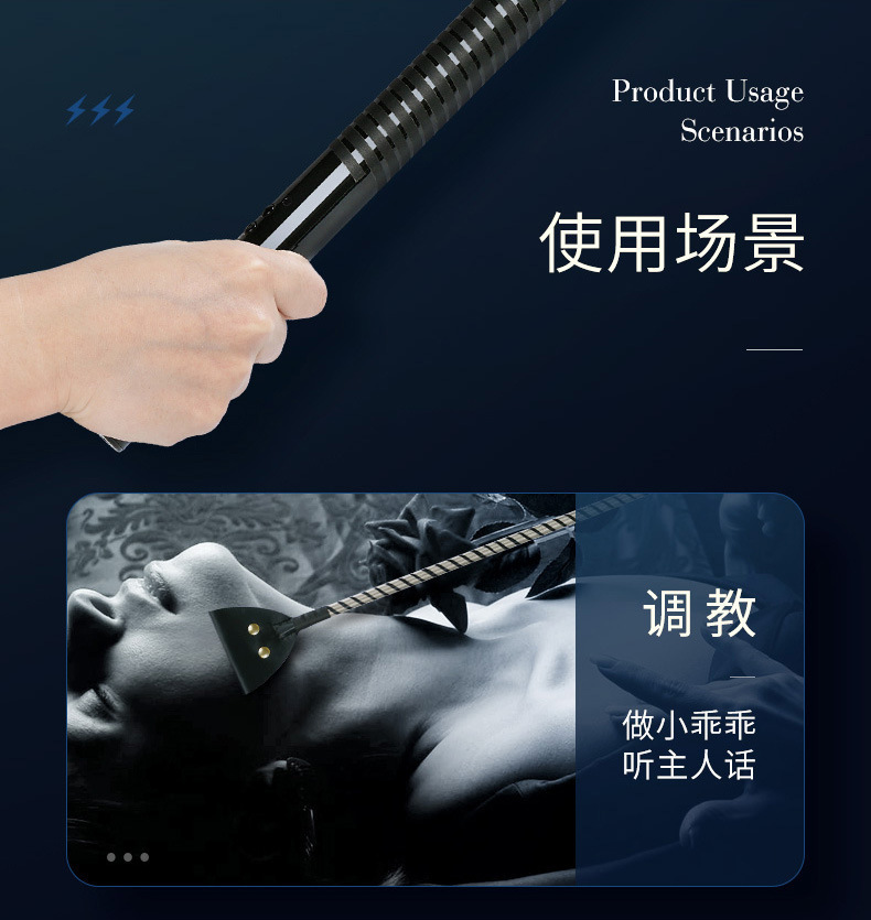 电棍电鞭详情_03.jpg