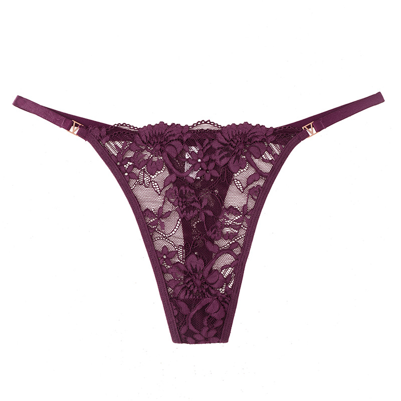 Europa y los Estados Unidos transfronterizos sexy de encaje transparente, cintura baja, cintura delgada, bordado puro, ropa interior de dama.