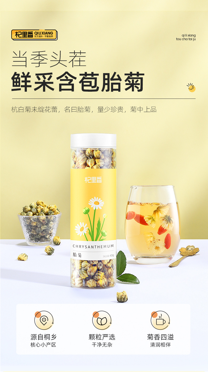 Tongxiang First Harvest Fetal Chrysanthemum Tea Buds Dried Flower Tea 40g Can overview