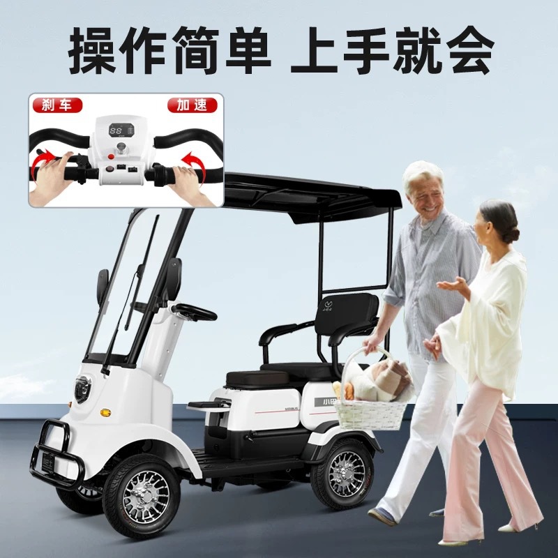 Wholesale M3 Small Bus Electric Four-Wheeler Elderly Scooter Home with Shed Battery Car Elderly Scooter Electric Motorcycle