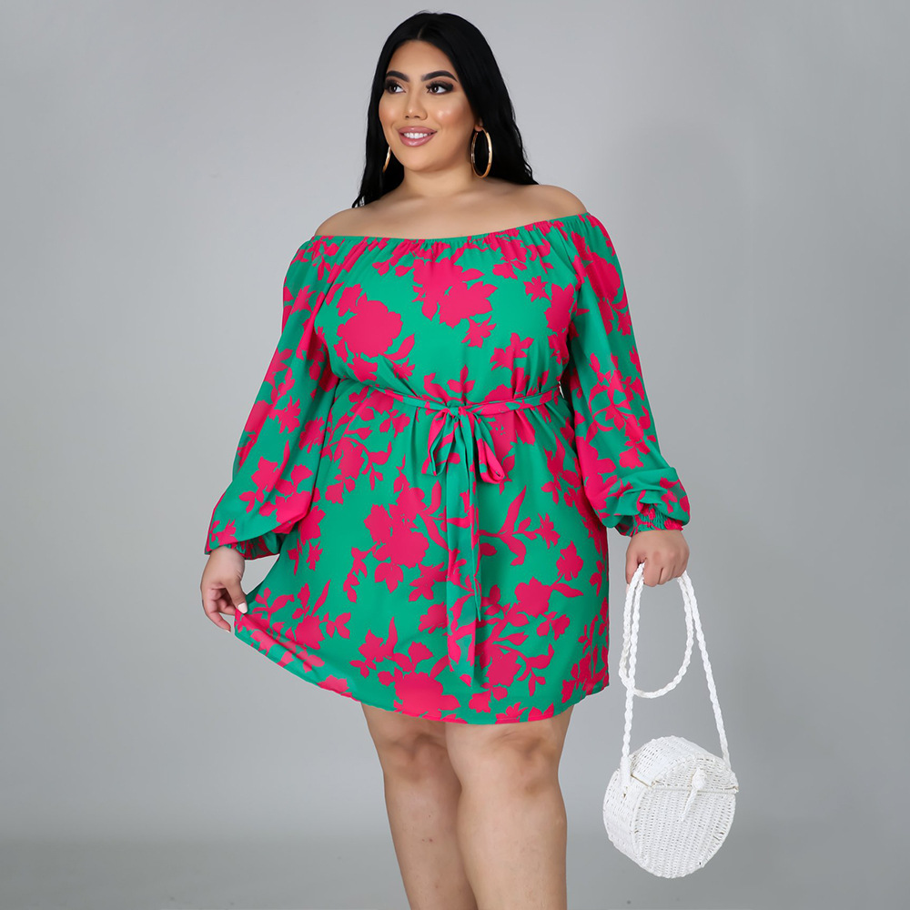 plus size printing long-sleeved loose lace-up dress NSLNW122675