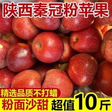 陕西秦冠粉苹果新鲜水果香甜粉面刮泥斤丑整箱批发