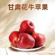 正宗甘肃天水花牛苹果新鲜水果红当季平果圣诞平安蛇粉面果丑整箱