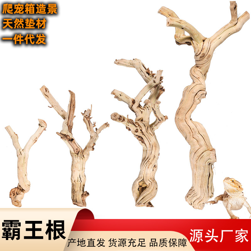 Climbing Pet Box Overlord Root Reptile Landscape Decoration Driftwood Natural Dead Wood Branch Modeling Mane Master Lizard Climbing Root