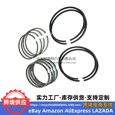 Piston, piston ring, piston pin | Hyundai 230402A900 230402A903 230402A904