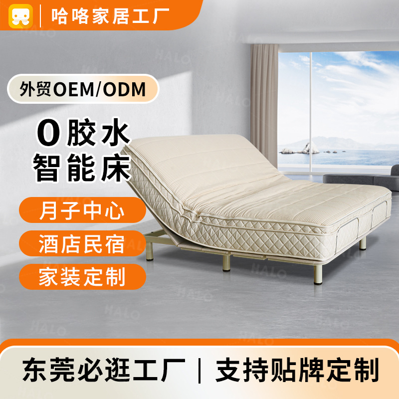Smart Mattress Double Zero Glue Mattress Zero Pressure Multi-Functional Bed Frame Foldableing Home Electric Bed for the Elderly and Pregnant Women Customized