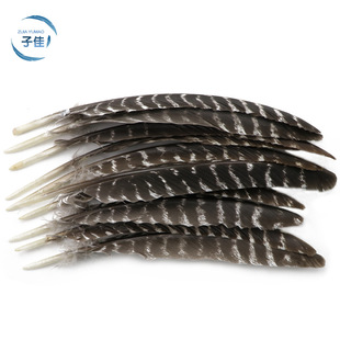 ��ë�S�rֱ�N28-33���׻����u����ë�T�������ӹ��� ����ë