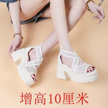 增高马丁靴粗高跟骑士靴新款粗高跟骑士靴新款松糕厚底洞洞孔凉靴