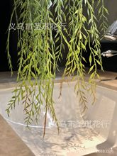 仿真花藤条垂挂垂柳松针爬山虎尤加利爬墙藤情人泪植物墙攀爬植物