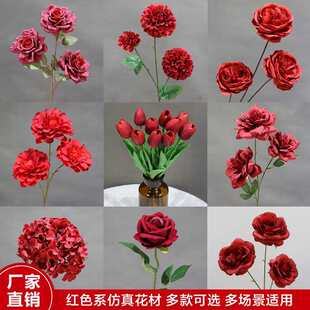 �tɫϵ��Y�û��ķ��滨õ���������ȼ����ٲ�����c�b廨�ٻ�