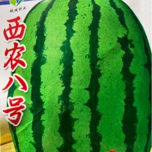 ���l�ʰ��Ϲ��߲˷N�����r��̖���ϷN�Ӽs30�������Ϲ��ܹϷN��