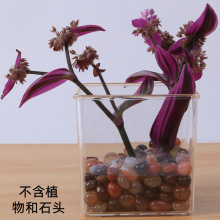 �������l͸���������ԾGֲ�^��͸�����������δ�̨�ֲ̨��N����