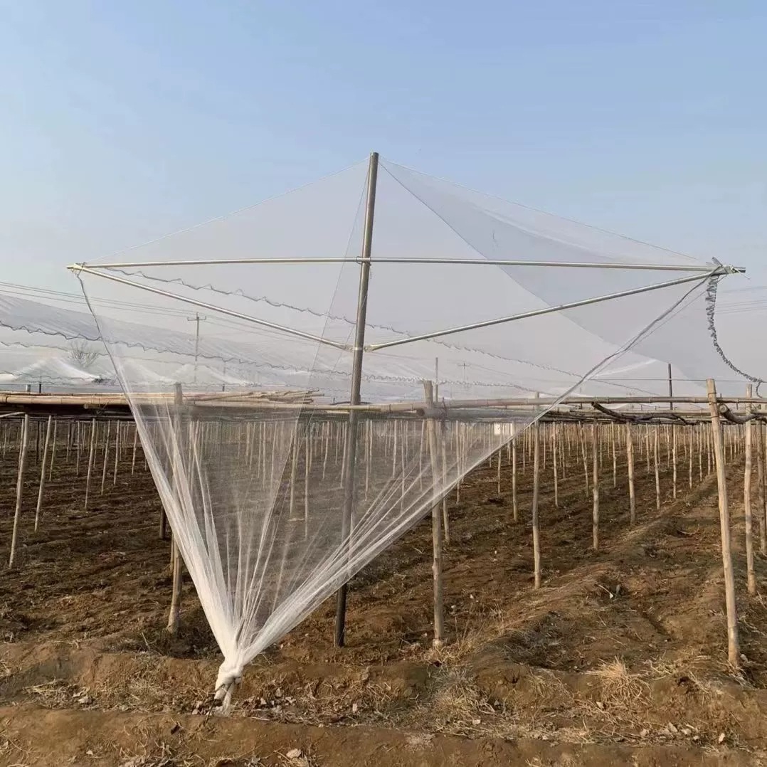 lQDPKHJZNsxg3tXNBDbNBDawwCe4xt