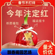 ��피t�����ذ�ΰ��pɫ׃ɫ�N������������^��ֲ�����Ի���