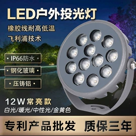 投光灯;洗墙灯;其他照明工业