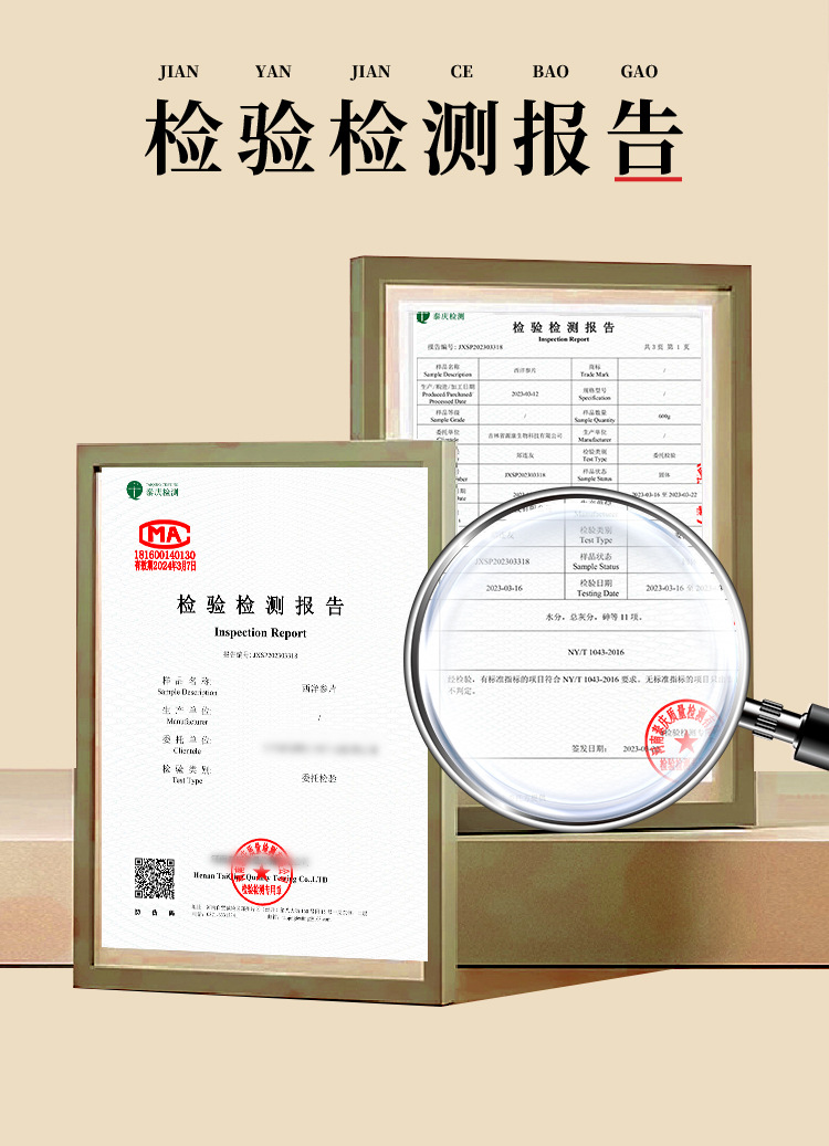 American Ginseng Short Branch Root Dried Whole Root Sections Ji Shi 50g Jilin Grown in use