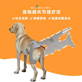 电子美容仪;智能设备;面罩美容仪