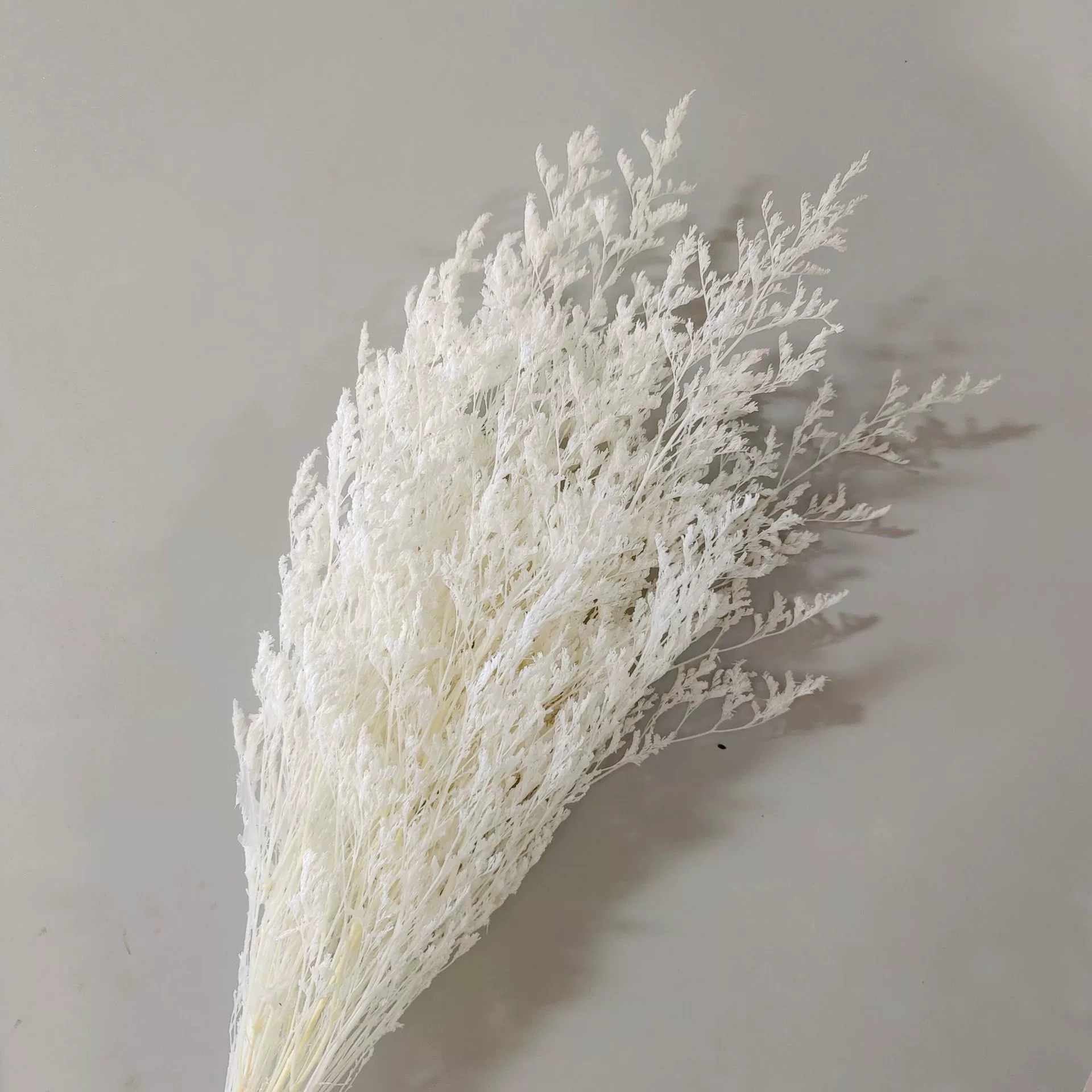 Вечная жизнь — букет сушёных цветов Baiya Grass для домашнего декора, белые лагурусы, букет для влюблённых, свадебное оформление